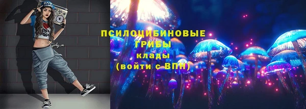 ALPHA PVP Кодинск