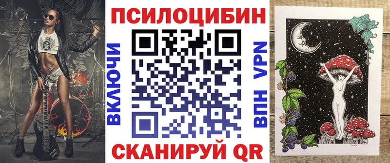 Купить закладки  Александров  Псилоцибиновые грибы MAGIC MUSHROOMS 