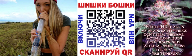 Канабис сатива  Купить закладки  Александров 